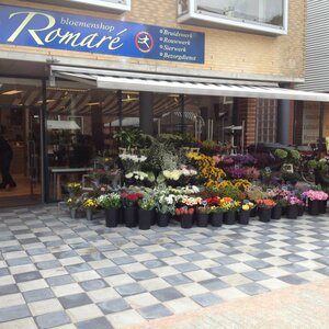 Bloemen- en Cadeaushop Romare image 1