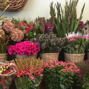 Groot in Groen image 1