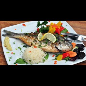 Grieks restaurant Martha-Zaras image 6