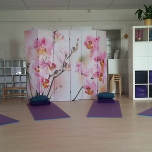 Dru Yoga Heerhugowaard image 2