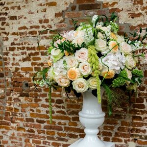 Ivy, Green in Business image 1