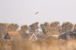 Winterdagevenement en vaarexcursie Bezoekercentrum De Poelboerderij