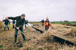 Voorrang voor weidevogels: werk ligt stil
