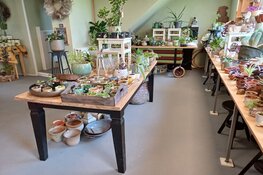 Stekkendag op maandag 21 april bij Bezoekerscentrum de Poelboerderij in Wormer