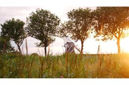 Paar koele dagen, maar later in de week weer zomers