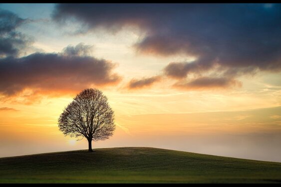 Walk into the Light