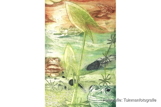 Expositie Ton Tuinman in Bezoekerscentrum De Poelboerderij