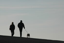 Hond op het pad: Bescherm de jonkies