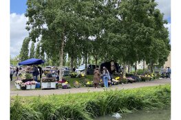 Kofferbakmarkt Wormer: gezellig struinen tussen verrassende vondsten