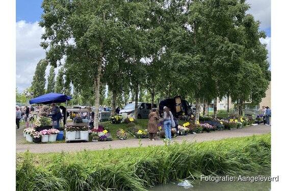 Kofferbakmarkt Wormer: gezellig struinen tussen verrassende vondsten