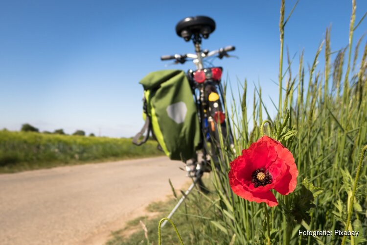 Koeler, maar overwegend droog weer in de komende week