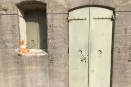 Paashazen speuren op Fort bij Spijkerboor