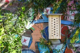 Provincie maakt 200 bijenhotels op scholen mogelijk