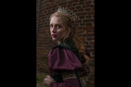 Prins Zes, een verdraaid sprookje