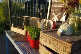 Stekkies zonnebloemen en bosjes verse munt uit eigen kas gratis voor passanten van Theetuin de Neckermolen