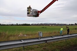 Cabrio belandt in de sloot, bestuurder houdt het droog