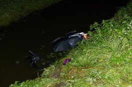 Bromfietsster te water in Westknollendam