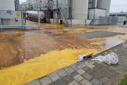 Lossen van palmolie gaat mis: straat in Wormer onder de olie