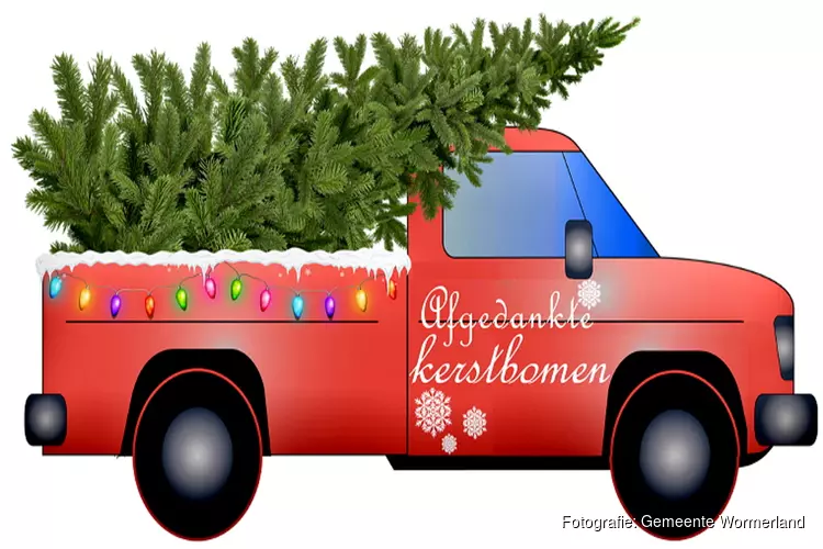 Afgedankte kerstbomen zijn geld waard!