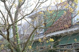 Brand in woning Wormerveer