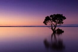 Vrijdag 16 juni excursievaartocht: Meditatieavond in samenwerking met Yoga bij Danielle