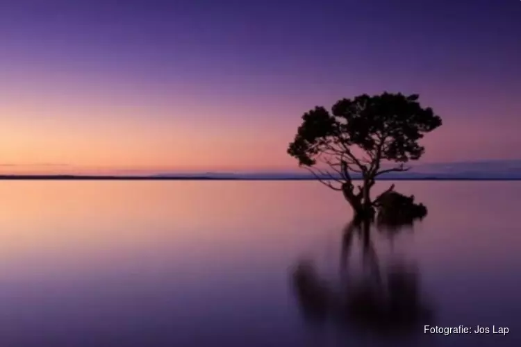 Vrijdag 16 juni excursievaartocht: Meditatieavond in samenwerking met Yoga bij Danielle