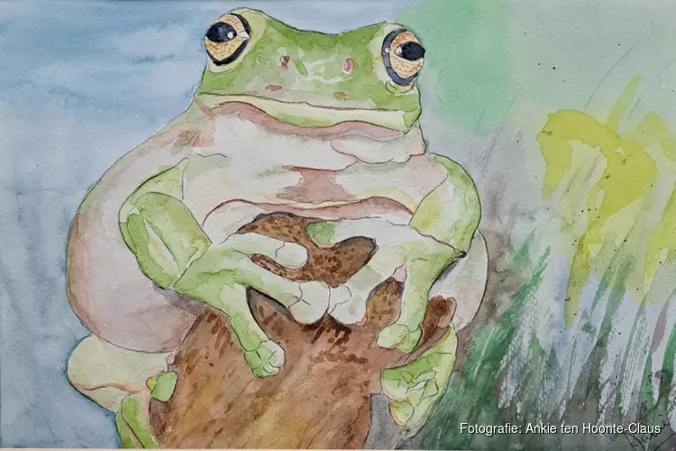 Kunstpoel exposeert van 22 juni tot en met 3 augustus in Bezoekerscentrum De Poelboerderij in Wormer