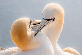 Expositie Fotoclub Zaanland