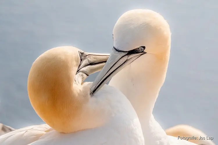 Expositie Fotoclub Zaanland